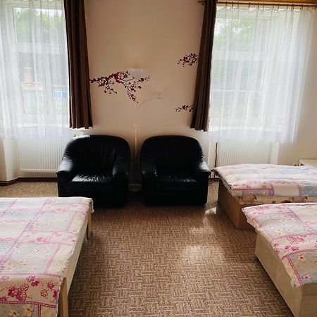 Ubytovani U Lva Žirovnice エクステリア 写真