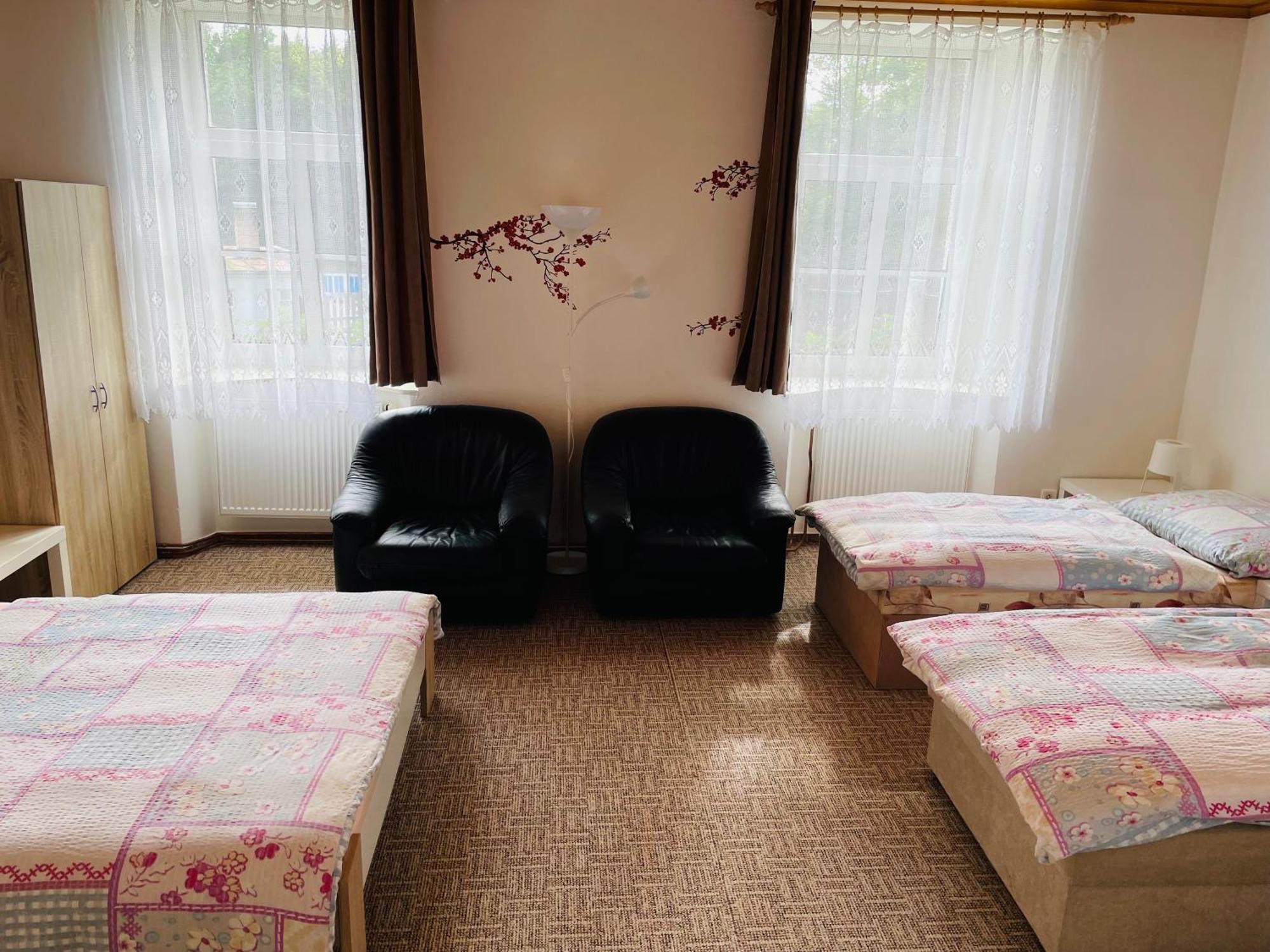 Ubytovani U Lva Žirovnice エクステリア 写真