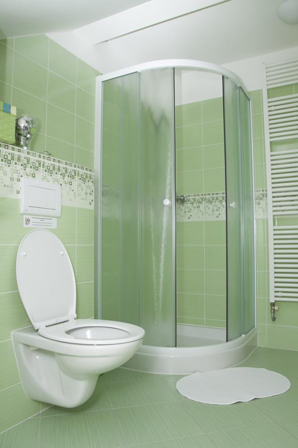 Ubytovani U Lva Žirovnice エクステリア 写真